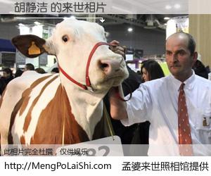 #孟婆来世照相馆# 【胡静洁 来世的未来相片】一碗梦婆汤，忘却了今生爱与痛，了无牵挂进入轮回。再相遇，已是天涯陌路人。可否借我一双慧眼，看清今生与来世？孟婆来世照相馆，触摸你的未来。胡静洁 来世的未来相片，有图有真相：