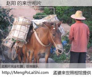 #孟婆来世照相馆# 【赵阳 来世的未来相片】一碗梦婆汤，忘却了今生爱与痛，了无牵挂进入轮回。再相遇，已是天涯陌路人。可否借我一双慧眼，看清今生与来世？孟婆来世照相馆，触摸你的未来。赵阳 来世的未来相片，有图有真相：