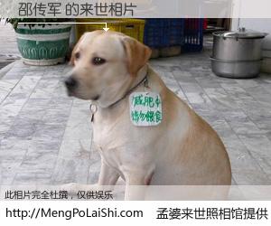 #孟婆来世照相馆# 【邵传军 来世的未来相片】一碗梦婆汤，忘却了今生爱与痛，了无牵挂进入轮回。再相遇，已是天涯陌路人。可否借我一双慧眼，看清今生与来世？孟婆来世照相馆，触摸你的未来。邵传军 来世的未来相片，有图有真相：