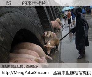 #孟婆来世照相馆# 【邱東應 来世的未来相片】一碗梦婆汤，忘却了今生爱与痛，了无牵挂进入轮回。再相遇，已是天涯陌路人。可否借我一双慧眼，看清今生与来世？孟婆来世照相馆，触摸你的未来。邱東應 来世的未来相片，有图有真相：