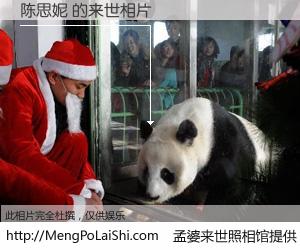 #孟婆来世照相馆# 【陈思妮 来世的未来相片】一碗梦婆汤，忘却了今生爱与痛，了无牵挂进入轮回。再相遇，已是天涯陌路人。可否借我一双慧眼，看清今生与来世？孟婆来世照相馆，触摸你的未来。陈思妮 来世的未来相片，有图有真相：