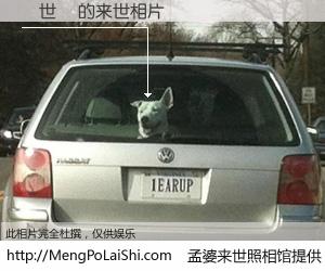 #孟婆来世照相馆# 【陳世詮 来世的未来相片】一碗梦婆汤，忘却了今生爱与痛，了无牵挂进入轮回。再相遇，已是天涯陌路人。可否借我一双慧眼，看清今生与来世？孟婆来世照相馆，触摸你的未来。陳世詮 来世的未来相片，有图有真相：