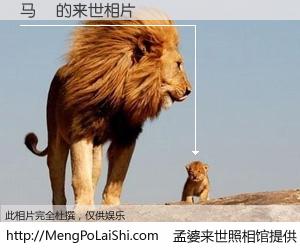 #孟婆来世照相馆# 【马旻 来世的未来相片】一碗梦婆汤，忘却了今生爱与痛，了无牵挂进入轮回。再相遇，已是天涯陌路人。可否借我一双慧眼，看清今生与来世？孟婆来世照相馆，触摸你的未来。马旻 来世的未来相片，有图有真相：