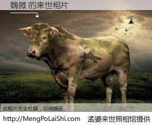 #孟婆来世照相馆# 【魏微 来世的未来相片】一碗梦婆汤，忘却了今生爱与痛，了无牵挂进入轮回。再相遇，已是天涯陌路人。可否借我一双慧眼，看清今生与来世？孟婆来世照相馆，触摸你的未来。魏微 来世的未来相片，有图有真相：