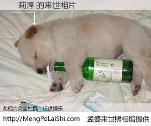 #孟婆来世照相馆# 【黃莉淳 来世的未来相片】一碗梦婆汤，忘却了今生爱与痛，了无牵挂进入轮回。再相遇，已是天涯陌路人。可否借我一双慧眼，看清今生与来世？孟婆来世照相馆，触摸你的未来。黃莉淳 来世的未来相片，有图有真相：