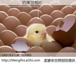 #孟婆来世照相馆# 【�ƺ�Ȩ 来世的未来相片】一碗梦婆汤，忘却了今生爱与痛，了无牵挂进入轮回。再相遇，已是天涯陌路人。可否借我一双慧眼，看清今生与来世？孟婆来世照相馆，触摸你的未来。�ƺ�Ȩ 来世的未来相片，有图有真相：