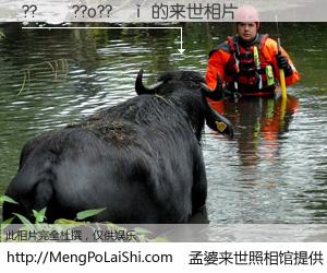 #孟婆来世照相馆# 【??��??o??�� 来世的未来相片】一碗梦婆汤，忘却了今生爱与痛，了无牵挂进入轮回。再相遇，已是天涯陌路人。可否借我一双慧眼，看清今生与来世？孟婆来世照相馆，触摸你的未来。??��??o??�� 来世的未来相片，有图有真相：