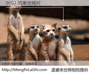 #孟婆来世照相馆# 【0007 来世的未来相片】一碗梦婆汤，忘却了今生爱与痛，了无牵挂进入轮回。再相遇，已是天涯陌路人。可否借我一双慧眼，看清今生与来世？孟婆来世照相馆，触摸你的未来。0007 来世的未来相片，有图有真相：