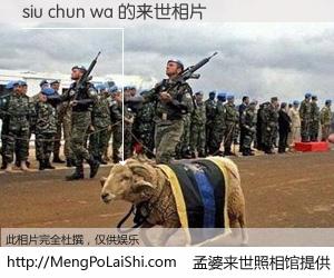 #孟婆来世照相馆# 【siu chun wa 来世的未来相片】一碗梦婆汤，忘却了今生爱与痛，了无牵挂进入轮回。再相遇，已是天涯陌路人。可否借我一双慧眼，看清今生与来世？孟婆来世照相馆，触摸你的未来。siu chun wa 来世的未来相片，有图有真相：