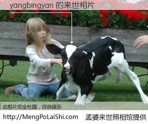 #孟婆来世照相馆# 【yangbingyan 来世的未来相片】一碗梦婆汤，忘却了今生爱与痛，了无牵挂进入轮回。再相遇，已是天涯陌路人。可否借我一双慧眼，看清今生与来世？孟婆来世照相馆，触摸你的未来。yangbingyan 来世的未来相片，有图有真相：