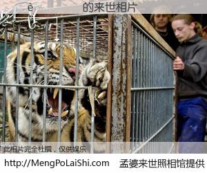 #孟婆来世照相馆# 【����� 来世的未来相片】一碗梦婆汤，忘却了今生爱与痛，了无牵挂进入轮回。再相遇，已是天涯陌路人。可否借我一双慧眼，看清今生与来世？孟婆来世照相馆，触摸你的未来。����� 来世的未来相片，有图有真相：