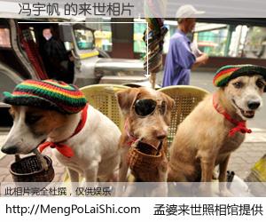 #孟婆来世照相馆# 【冯宇帆 来世的未来相片】一碗梦婆汤，忘却了今生爱与痛，了无牵挂进入轮回。再相遇，已是天涯陌路人。可否借我一双慧眼，看清今生与来世？孟婆来世照相馆，触摸你的未来。冯宇帆 来世的未来相片，有图有真相：