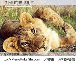 #孟婆来世照相馆# 【刘琛 来世的未来相片】一碗梦婆汤，忘却了今生爱与痛，了无牵挂进入轮回。再相遇，已是天涯陌路人。可否借我一双慧眼，看清今生与来世？孟婆来世照相馆，触摸你的未来。刘琛 来世的未来相片，有图有真相：