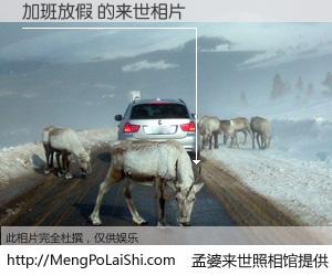 #孟婆来世照相馆# 【加班放假 来世的未来相片】一碗梦婆汤，忘却了今生爱与痛，了无牵挂进入轮回。再相遇，已是天涯陌路人。可否借我一双慧眼，看清今生与来世？孟婆来世照相馆，触摸你的未来。加班放假 来世的未来相片，有图有真相：