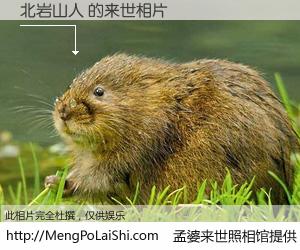 #孟婆来世照相馆# 【北岩山人 来世的未来相片】一碗梦婆汤，忘却了今生爱与痛，了无牵挂进入轮回。再相遇，已是天涯陌路人。可否借我一双慧眼，看清今生与来世？孟婆来世照相馆，触摸你的未来。北岩山人 来世的未来相片，有图有真相：