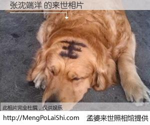 #孟婆来世照相馆# 【张沈端洋 来世的未来相片】一碗梦婆汤，忘却了今生爱与痛，了无牵挂进入轮回。再相遇，已是天涯陌路人。可否借我一双慧眼，看清今生与来世？孟婆来世照相馆，触摸你的未来。张沈端洋 来世的未来相片，有图有真相：