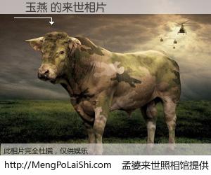 #孟婆来世照相馆# 【張玉燕 来世的未来相片】一碗梦婆汤，忘却了今生爱与痛，了无牵挂进入轮回。再相遇，已是天涯陌路人。可否借我一双慧眼，看清今生与来世？孟婆来世照相馆，触摸你的未来。張玉燕 来世的未来相片，有图有真相：