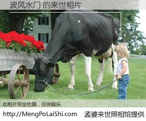 #孟婆来世照相馆# 【波风水门 来世的未来相片】一碗梦婆汤，忘却了今生爱与痛，了无牵挂进入轮回。再相遇，已是天涯陌路人。可否借我一双慧眼，看清今生与来世？孟婆来世照相馆，触摸你的未来。波风水门 来世的未来相片，有图有真相：