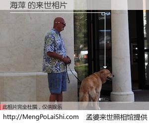 #孟婆来世照相馆# 【海萍 来世的未来相片】一碗梦婆汤，忘却了今生爱与痛，了无牵挂进入轮回。再相遇，已是天涯陌路人。可否借我一双慧眼，看清今生与来世？孟婆来世照相馆，触摸你的未来。海萍 来世的未来相片，有图有真相：