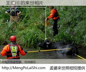 #孟婆来世照相馆# 【王汇川 来世的未来相片】一碗梦婆汤，忘却了今生爱与痛，了无牵挂进入轮回。再相遇，已是天涯陌路人。可否借我一双慧眼，看清今生与来世？孟婆来世照相馆，触摸你的未来。王汇川 来世的未来相片，有图有真相：