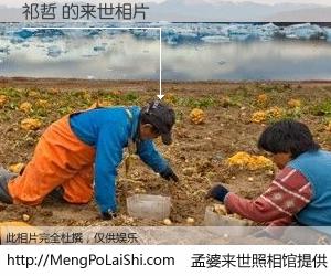 #孟婆来世照相馆# 【祁哲 来世的未来相片】一碗梦婆汤，忘却了今生爱与痛，了无牵挂进入轮回。再相遇，已是天涯陌路人。可否借我一双慧眼，看清今生与来世？孟婆来世照相馆，触摸你的未来。祁哲 来世的未来相片，有图有真相：