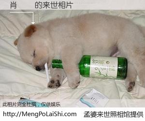 #孟婆来世照相馆# 【肖書穎 来世的未来相片】一碗梦婆汤，忘却了今生爱与痛，了无牵挂进入轮回。再相遇，已是天涯陌路人。可否借我一双慧眼，看清今生与来世？孟婆来世照相馆，触摸你的未来。肖書穎 来世的未来相片，有图有真相：