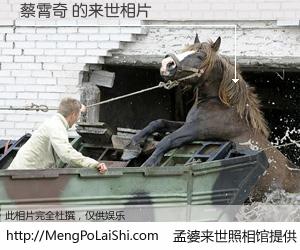 #孟婆来世照相馆# 【蔡霄奇 来世的未来相片】一碗梦婆汤，忘却了今生爱与痛，了无牵挂进入轮回。再相遇，已是天涯陌路人。可否借我一双慧眼，看清今生与来世？孟婆来世照相馆，触摸你的未来。蔡霄奇 来世的未来相片，有图有真相：