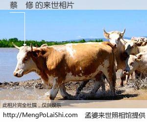 #孟婆来世照相馆# 【蔡顯修 来世的未来相片】一碗梦婆汤，忘却了今生爱与痛，了无牵挂进入轮回。再相遇，已是天涯陌路人。可否借我一双慧眼，看清今生与来世？孟婆来世照相馆，触摸你的未来。蔡顯修 来世的未来相片，有图有真相：