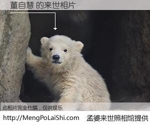 #孟婆来世照相馆# 【董自慧 来世的未来相片】一碗梦婆汤，忘却了今生爱与痛，了无牵挂进入轮回。再相遇，已是天涯陌路人。可否借我一双慧眼，看清今生与来世？孟婆来世照相馆，触摸你的未来。董自慧 来世的未来相片，有图有真相：