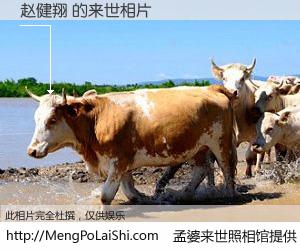 #孟婆来世照相馆# 【赵健翔 来世的未来相片】一碗梦婆汤，忘却了今生爱与痛，了无牵挂进入轮回。再相遇，已是天涯陌路人。可否借我一双慧眼，看清今生与来世？孟婆来世照相馆，触摸你的未来。赵健翔 来世的未来相片，有图有真相：