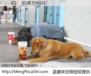 #孟婆来世照相馆# 【闕伯勳 来世的未来相片】一碗梦婆汤，忘却了今生爱与痛，了无牵挂进入轮回。再相遇，已是天涯陌路人。可否借我一双慧眼，看清今生与来世？孟婆来世照相馆，触摸你的未来。闕伯勳 来世的未来相片，有图有真相：