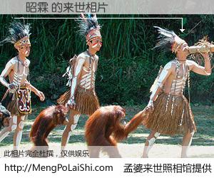 #孟婆来世照相馆# 【駱昭霖 来世的未来相片】一碗梦婆汤，忘却了今生爱与痛，了无牵挂进入轮回。再相遇，已是天涯陌路人。可否借我一双慧眼，看清今生与来世？孟婆来世照相馆，触摸你的未来。駱昭霖 来世的未来相片，有图有真相：