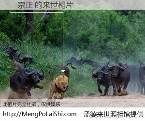 #孟婆来世照相馆# 【黃宗正 来世的未来相片】一碗梦婆汤，忘却了今生爱与痛，了无牵挂进入轮回。再相遇，已是天涯陌路人。可否借我一双慧眼，看清今生与来世？孟婆来世照相馆，触摸你的未来。黃宗正 来世的未来相片，有图有真相：