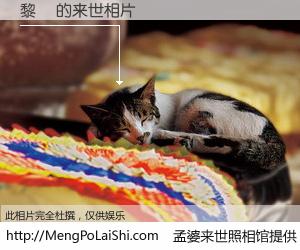 #孟婆来世照相馆# 【黎旸 来世的未来相片】一碗梦婆汤，忘却了今生爱与痛，了无牵挂进入轮回。再相遇，已是天涯陌路人。可否借我一双慧眼，看清今生与来世？孟婆来世照相馆，触摸你的未来。黎旸 来世的未来相片，有图有真相：