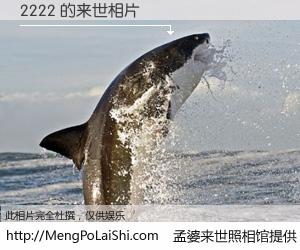 #孟婆来世照相馆# 【2222 来世的未来相片】一碗梦婆汤，忘却了今生爱与痛，了无牵挂进入轮回。再相遇，已是天涯陌路人。可否借我一双慧眼，看清今生与来世？孟婆来世照相馆，触摸你的未来。2222 来世的未来相片，有图有真相：