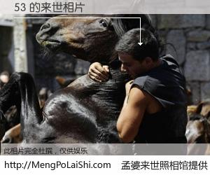 #孟婆来世照相馆# 【53 来世的未来相片】一碗梦婆汤，忘却了今生爱与痛，了无牵挂进入轮回。再相遇，已是天涯陌路人。可否借我一双慧眼，看清今生与来世？孟婆来世照相馆，触摸你的未来。53 来世的未来相片，有图有真相：