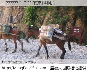 #孟婆来世照相馆# 【??????��?? 来世的未来相片】一碗梦婆汤，忘却了今生爱与痛，了无牵挂进入轮回。再相遇，已是天涯陌路人。可否借我一双慧眼，看清今生与来世？孟婆来世照相馆，触摸你的未来。??????��?? 来世的未来相片，有图有真相：