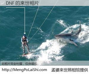 #孟婆来世照相馆# 【DNF 来世的未来相片】一碗梦婆汤，忘却了今生爱与痛，了无牵挂进入轮回。再相遇，已是天涯陌路人。可否借我一双慧眼，看清今生与来世？孟婆来世照相馆，触摸你的未来。DNF 来世的未来相片，有图有真相：