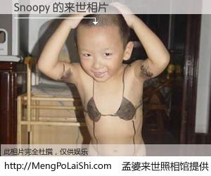 #孟婆来世照相馆# 【Snoopy 来世的未来相片】一碗梦婆汤，忘却了今生爱与痛，了无牵挂进入轮回。再相遇，已是天涯陌路人。可否借我一双慧眼，看清今生与来世？孟婆来世照相馆，触摸你的未来。Snoopy 来世的未来相片，有图有真相：