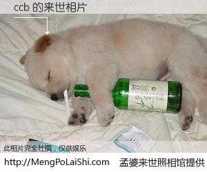 #孟婆来世照相馆# 【ccb 来世的未来相片】一碗梦婆汤，忘却了今生爱与痛，了无牵挂进入轮回。再相遇，已是天涯陌路人。可否借我一双慧眼，看清今生与来世？孟婆来世照相馆，触摸你的未来。ccb 来世的未来相片，有图有真相：