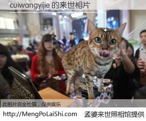 #孟婆来世照相馆# 【cuiwangyijie 来世的未来相片】一碗梦婆汤，忘却了今生爱与痛，了无牵挂进入轮回。再相遇，已是天涯陌路人。可否借我一双慧眼，看清今生与来世？孟婆来世照相馆，触摸你的未来。cuiwangyijie 来世的未来相片，有图有真相：