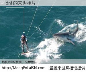 #孟婆来世照相馆# 【dnf 来世的未来相片】一碗梦婆汤，忘却了今生爱与痛，了无牵挂进入轮回。再相遇，已是天涯陌路人。可否借我一双慧眼，看清今生与来世？孟婆来世照相馆，触摸你的未来。dnf 来世的未来相片，有图有真相：