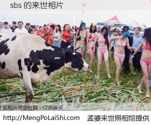 #孟婆来世照相馆# 【sbs 来世的未来相片】一碗梦婆汤，忘却了今生爱与痛，了无牵挂进入轮回。再相遇，已是天涯陌路人。可否借我一双慧眼，看清今生与来世？孟婆来世照相馆，触摸你的未来。sbs 来世的未来相片，有图有真相：