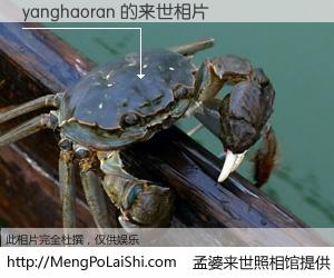 #孟婆来世照相馆# 【yanghaoran 来世的未来相片】一碗梦婆汤，忘却了今生爱与痛，了无牵挂进入轮回。再相遇，已是天涯陌路人。可否借我一双慧眼，看清今生与来世？孟婆来世照相馆，触摸你的未来。yanghaoran 来世的未来相片，有图有真相：