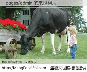 #孟婆来世照相馆# 【pages/admin 来世的未来相片】一碗梦婆汤，忘却了今生爱与痛，了无牵挂进入轮回。再相遇，已是天涯陌路人。可否借我一双慧眼，看清今生与来世？孟婆来世照相馆，触摸你的未来。pages/admin 来世的未来相片，有图有真相：