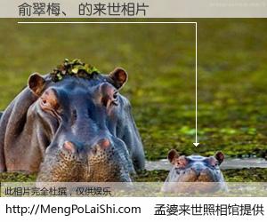 #孟婆来世照相馆# 【俞翠梅、 来世的未来相片】一碗梦婆汤，忘却了今生爱与痛，了无牵挂进入轮回。再相遇，已是天涯陌路人。可否借我一双慧眼，看清今生与来世？孟婆来世照相馆，触摸你的未来。俞翠梅、 来世的未来相片，有图有真相：