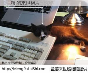 #孟婆来世照相馆# 【劉耘 来世的未来相片】一碗梦婆汤，忘却了今生爱与痛，了无牵挂进入轮回。再相遇，已是天涯陌路人。可否借我一双慧眼，看清今生与来世？孟婆来世照相馆，触摸你的未来。劉耘 来世的未来相片，有图有真相：