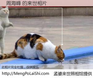 #孟婆来世照相馆# 【周海峰 来世的未来相片】一碗梦婆汤，忘却了今生爱与痛，了无牵挂进入轮回。再相遇，已是天涯陌路人。可否借我一双慧眼，看清今生与来世？孟婆来世照相馆，触摸你的未来。周海峰 来世的未来相片，有图有真相：