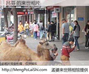 #孟婆来世照相馆# 【吕芬 来世的未来相片】一碗梦婆汤，忘却了今生爱与痛，了无牵挂进入轮回。再相遇，已是天涯陌路人。可否借我一双慧眼，看清今生与来世？孟婆来世照相馆，触摸你的未来。吕芬 来世的未来相片，有图有真相：