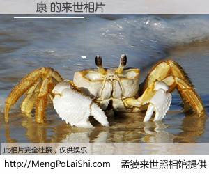 #孟婆来世照相馆# 【吳榮康 来世的未来相片】一碗梦婆汤，忘却了今生爱与痛，了无牵挂进入轮回。再相遇，已是天涯陌路人。可否借我一双慧眼，看清今生与来世？孟婆来世照相馆，触摸你的未来。吳榮康 来世的未来相片，有图有真相：